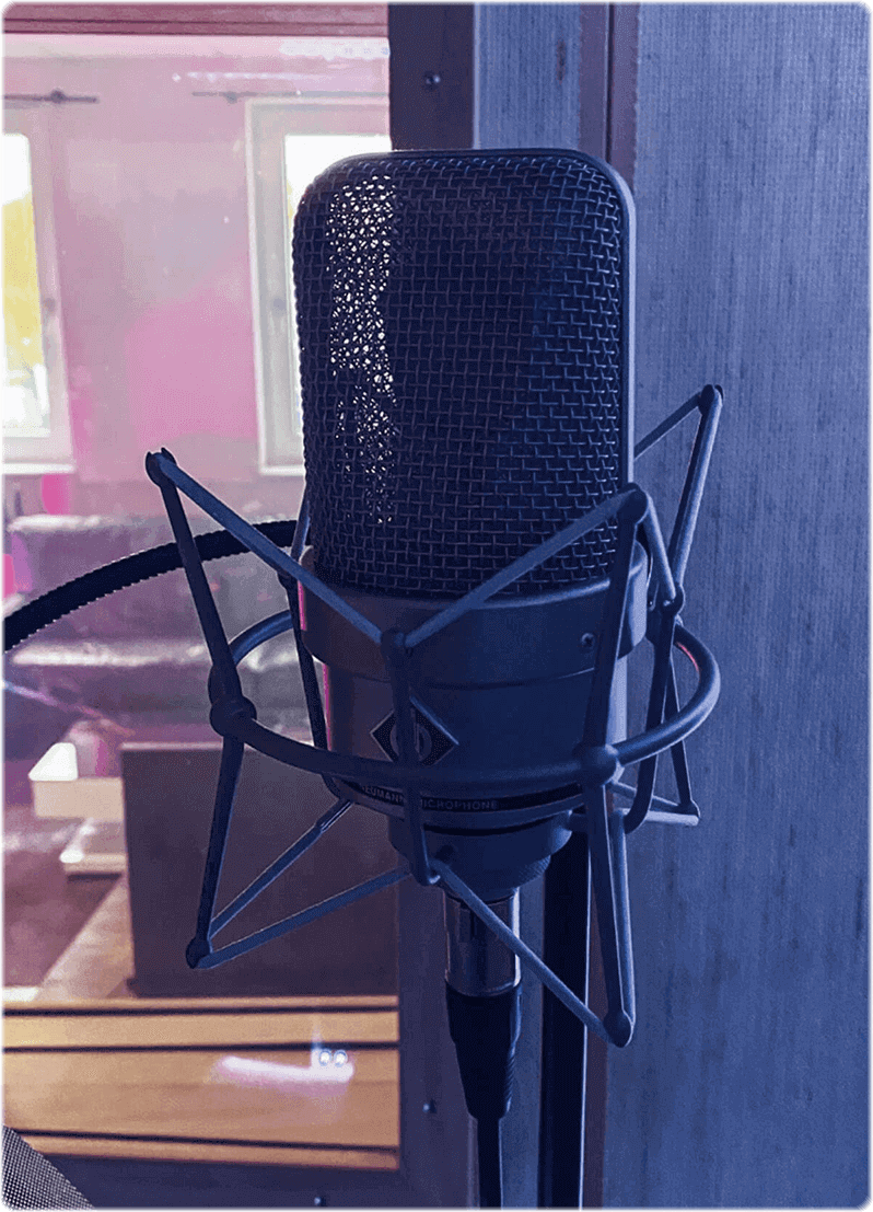 sw_ado_mic_3